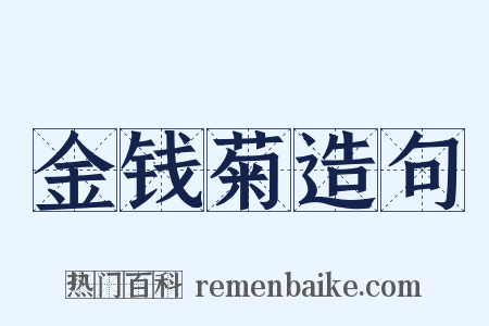 金钱菊造句是什么意思的图片